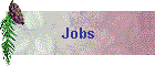 Jobs